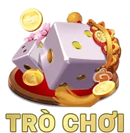 Hỗ Trợ VIP Cá Nhân rs99